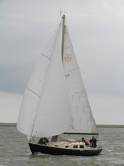 Lemsterbokking08 (87).jpg
